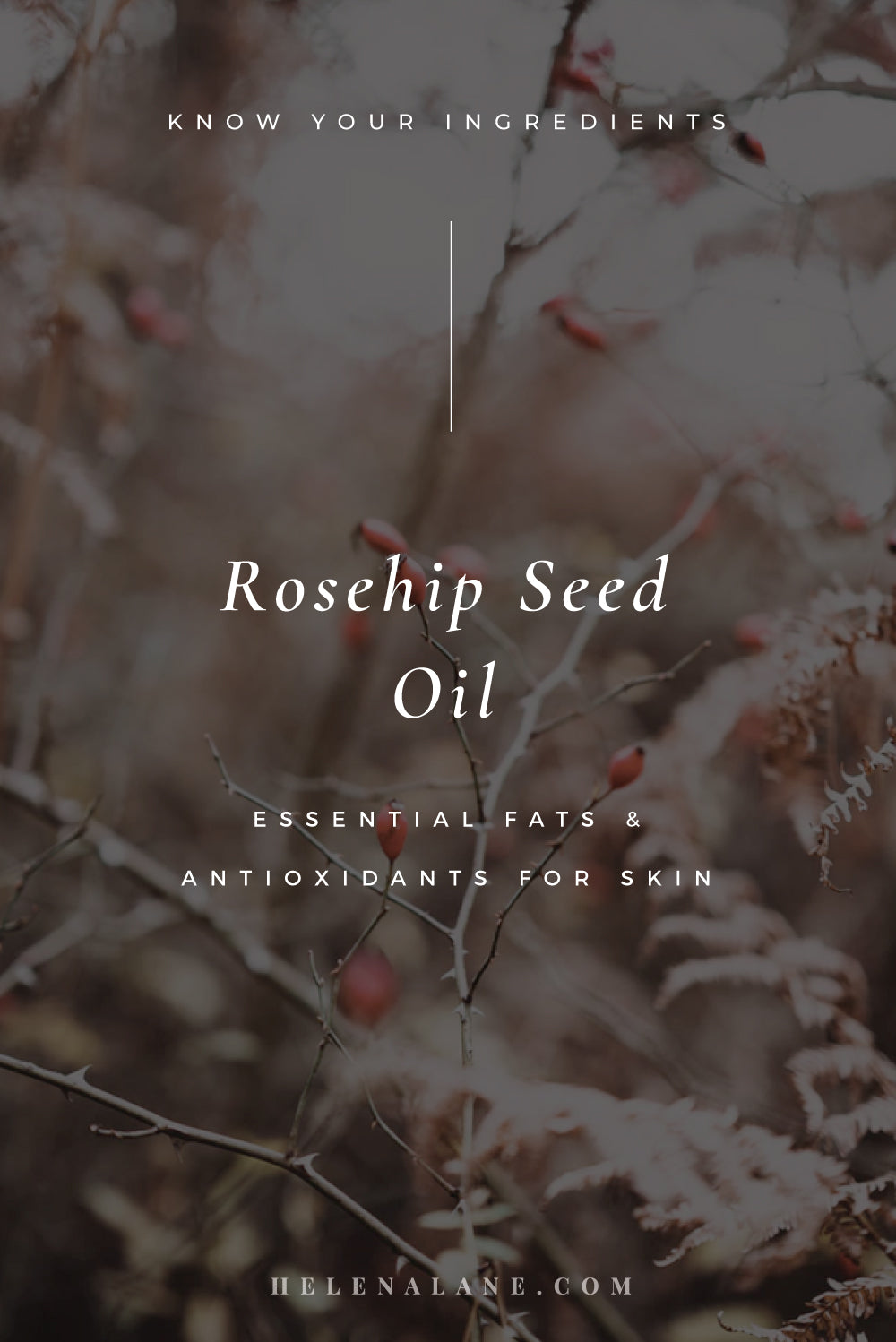 Rosehip Seed Oil in Skincare